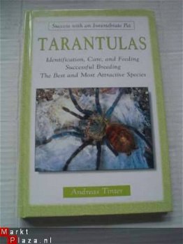 Tarantulas door Andreas Tinter - 1