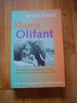 Mama olifant door Joyce Poole - 1