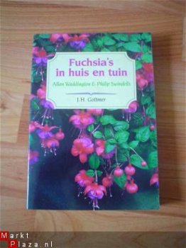 Fuchsia's in huis en tuin door Waddington & Swindells - 1