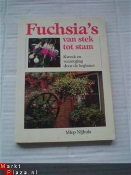 Fuchsia's van stek tot stam door Miep Nijhuis - 1