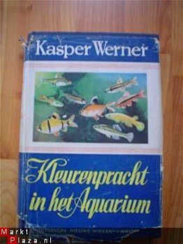 Kleurenpracht in het aquarium door Kasper Werner - 1