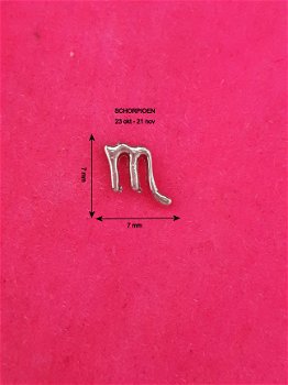 Bedel / Charm 1211, Schorpioen - 1