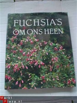 Fuchsia's om ons heen door Miep Nijhuis - 1