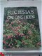 Fuchsia's om ons heen door Miep Nijhuis - 1 - Thumbnail