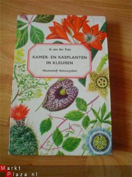 Kamer- en kasplanten in kleuren door G. van der Tuin - 1