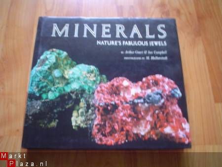 Minerals by Arthur Court & Ian Campbell - 1