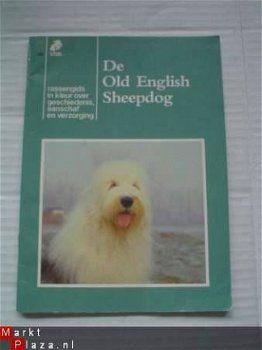 De Old English Sheepdog - 1