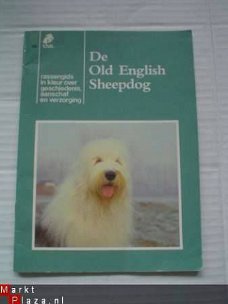 De Old English Sheepdog