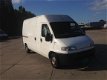 Fiat Ducato - maxi 16rims turbo export - 1 - Thumbnail