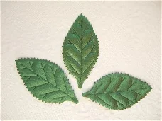 Mooi blad van groen satijn ~ 5 cm