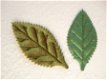 Mooi blad van groen satijn ~ 5 cm - 2 - Thumbnail