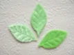 Mooi blad van licht groen velours ~ 5,5 cm - 0 - Thumbnail