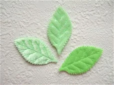 Mooi blad van licht groen velours ~ 5,5 cm