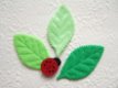 Mooi blad van licht groen velours ~ 5,5 cm - 2 - Thumbnail