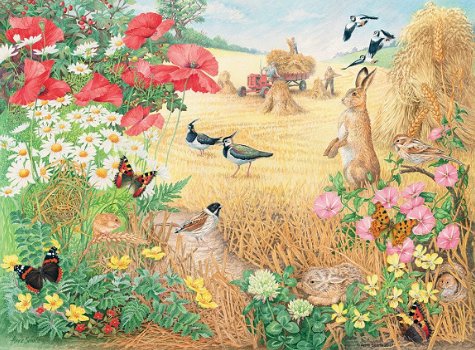 Ravensburger - Pleasant Pastures - 2 x 500 Stukjes - 3