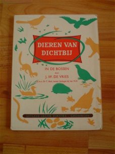 Dieren van dichtbij, In de bossen door J.W. de Vries