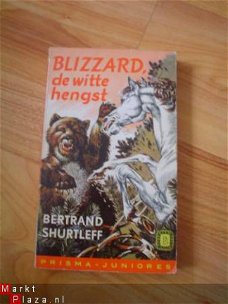 Blizzard, de witte hengst door Bertrand Shurtleff