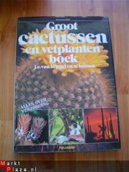 Groot cactussen en vetplantenboek door Van Keppel en Koesen - 1