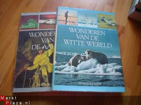 Walt Disney's wonderen reeks - 1