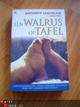 Een walrus op tafel door Anthony Guglielmo - 1