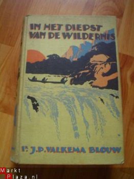 In het diepst van de wildernis door J.P. Valkema Blouw - 1