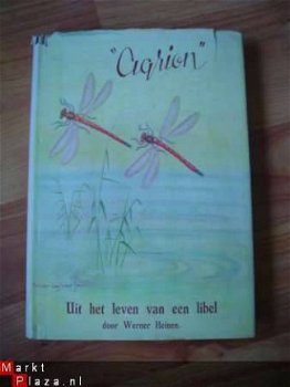 Agrion, Uit het leven van een libel door W. Heinen - 1