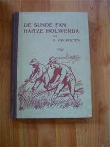 De sunde van Haitze Holwerda fan U. van Houten