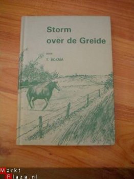 Storm over de Greide door T. Bokma - 1