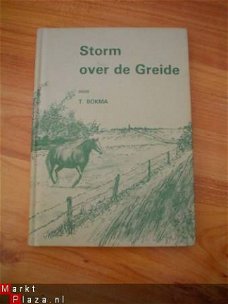 Storm over de Greide door T. Bokma