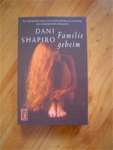 Familiegeheim door Dani Shapiro