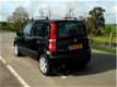 Fiat Panda - 1.2 EDIZIONE COOL Lichtmetalen velgen - 1 - Thumbnail