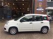 Fiat Panda - 0.9 TWINAIR EDIZIONE COOL AIRCO-AUDIO/CD-CV-STUURBEKR. End Of Year Sale - 1 - Thumbnail