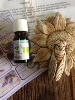 Geursteentje met lavendelolie