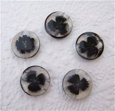 Transparant bloemen knoopje ~ 13 mm ~ Zwart