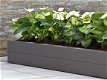 Kwaliteit Plantenbak, Boombak en Bloembak - 4 - Thumbnail
