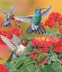 SunsOut - Hummingbirds and Flowers - 550 Stukjes Nieuw - 1 - Thumbnail