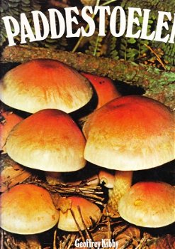 Paddestoelen door Geoffrey Kibby - 1