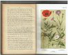 Plantkunde door H.W. Heinsius - 1 - Thumbnail