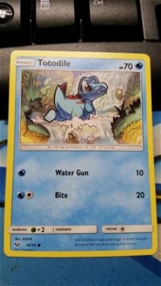 Totodile 18/73  Common S & M Shining Legends