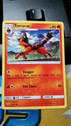 Torracat  16/73  Common S & M Shining Legends