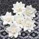 SALE NIEUW Set Alabastair & Allure Fabric Bling Flowers van Prima Marketing - 3 - Thumbnail