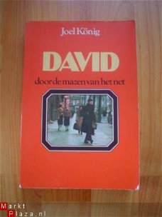 David door de mazen van het net door Joel König