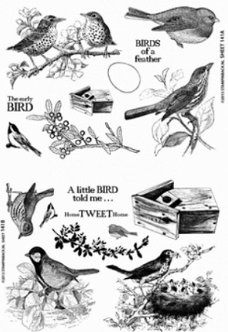 SALE NIEUW cling stempel set Sheet 141A + 141B Birds van Stampinback.