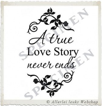 Strijk transfer vel love story A4 vel - 2