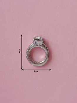 Bedel / Charm 0153, Zilveren ring - 1