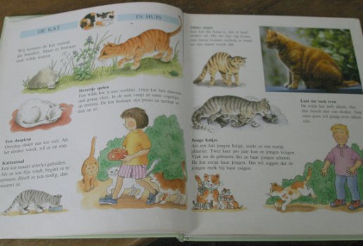 Eerste dierenboek voor kinderen - 2