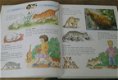Eerste dierenboek voor kinderen - 2 - Thumbnail