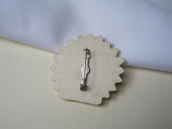 Broche kunststof pauw paradijs vogel 4.9x4.7 cm - Afbeelding 4