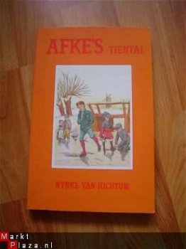 Afke's tiental door Nynke van Hichtum - 1