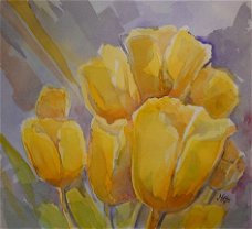 Gele tulpen uit 2014